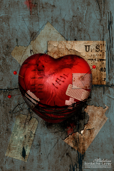 how_to_heal_a_broken_heart_by_temporary_peace1